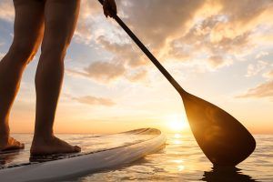 padelsurf
